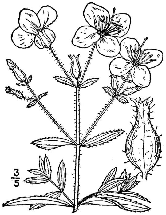 Figure 229e.