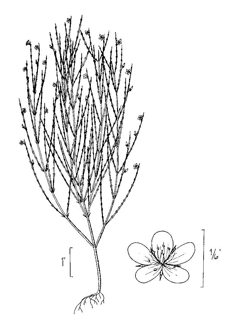 Figure 220b.