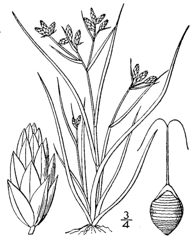 Figure 44b.