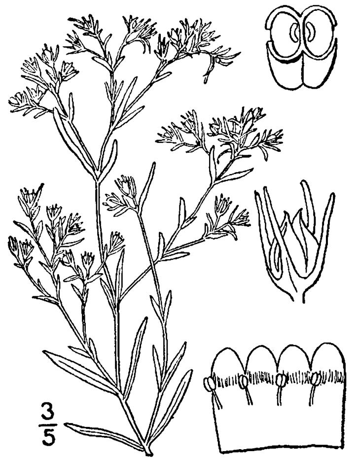 Figure 137a.