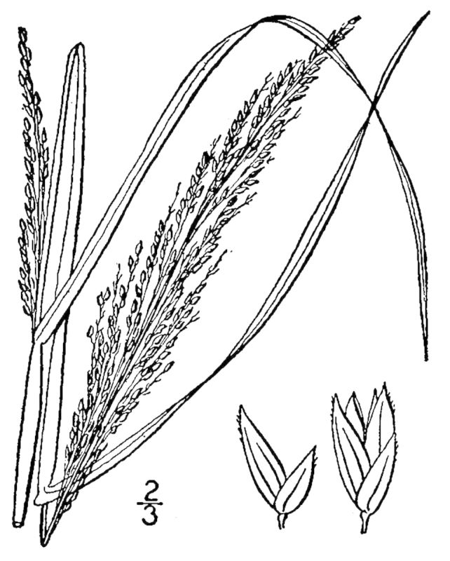 Figure 89b.