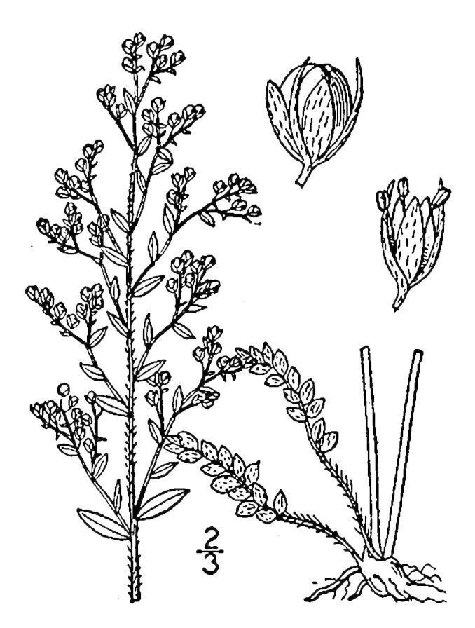 Figure 185a.