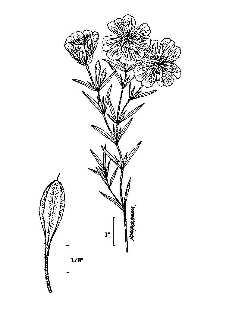Figure 232a.