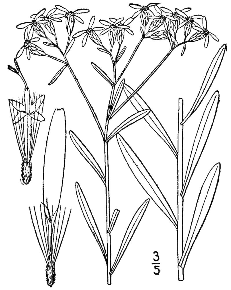 Figure 167a.