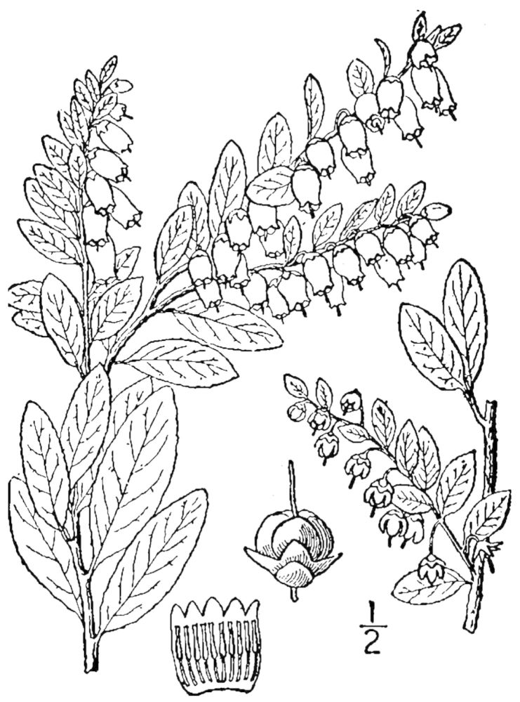 Figure 188a.