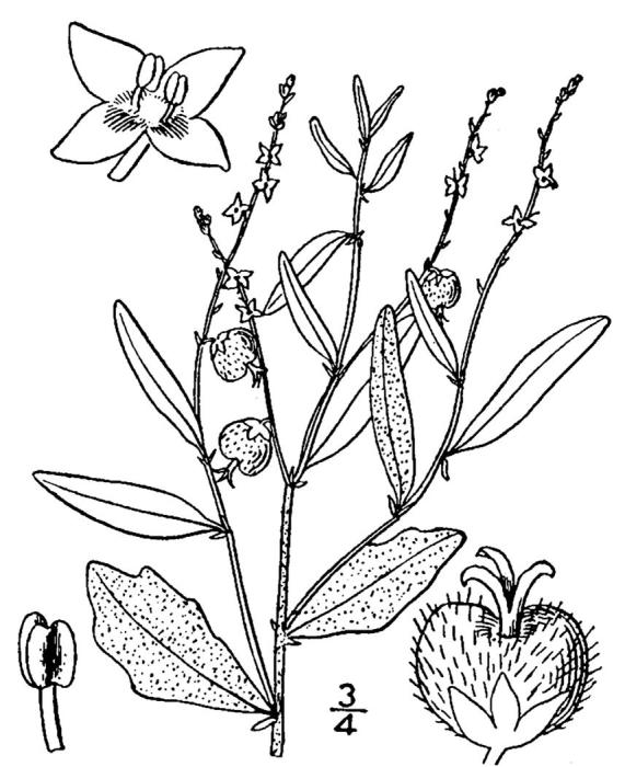 Figure 198.