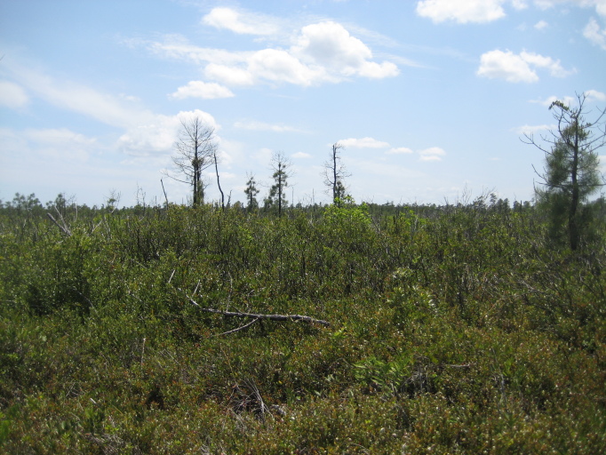 Figure 8a.