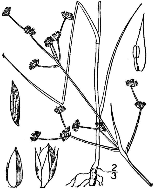 Figure 53a.