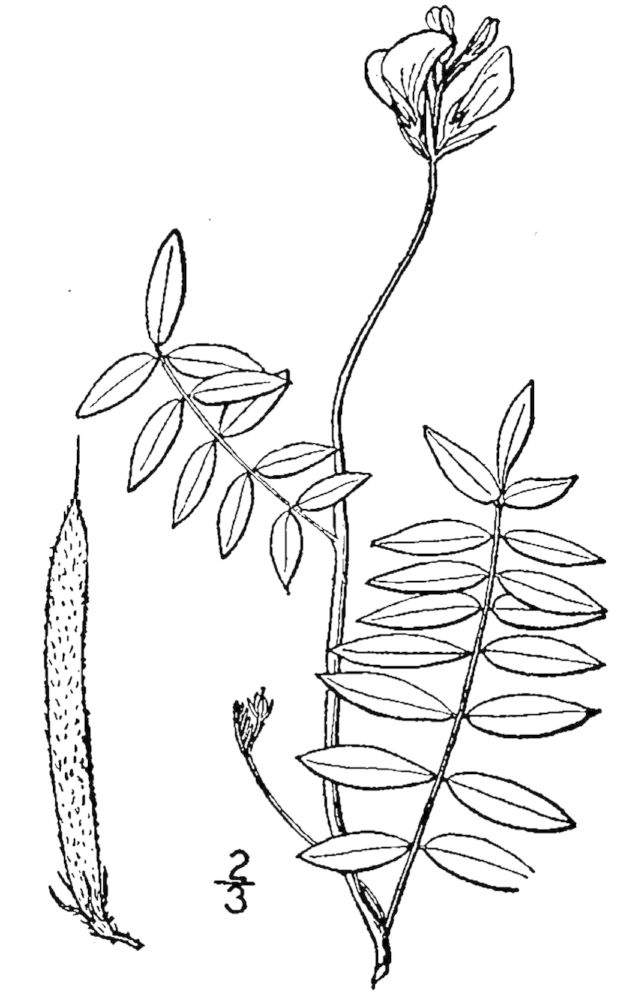 Figure 211a.