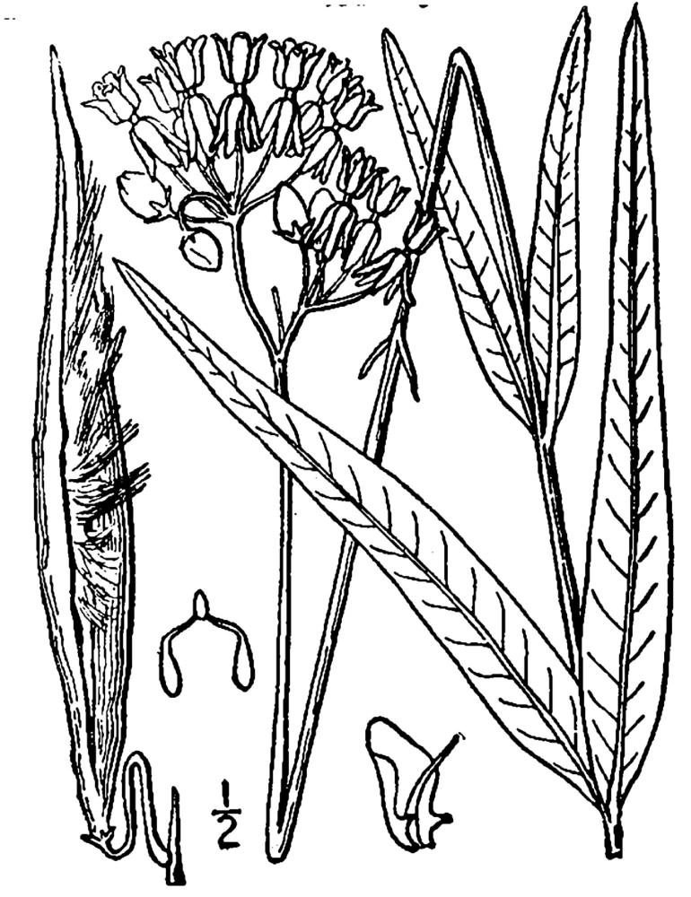 Figure 146a.