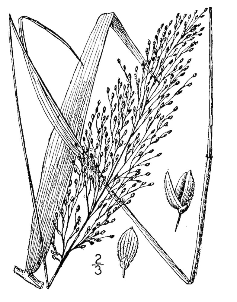 Figure 85b.