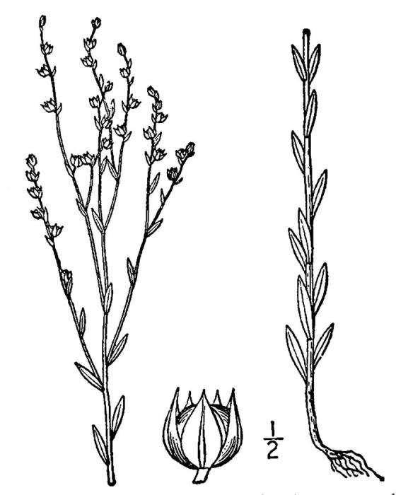 Figure 228b.