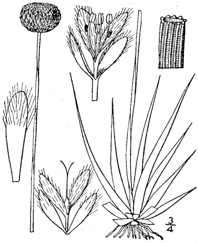 Figure 48a.