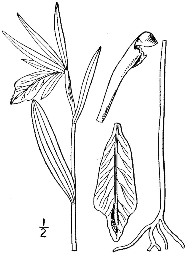 Figure 63a.