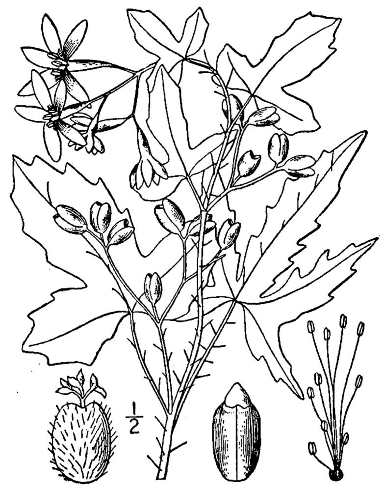 Figure 197a.