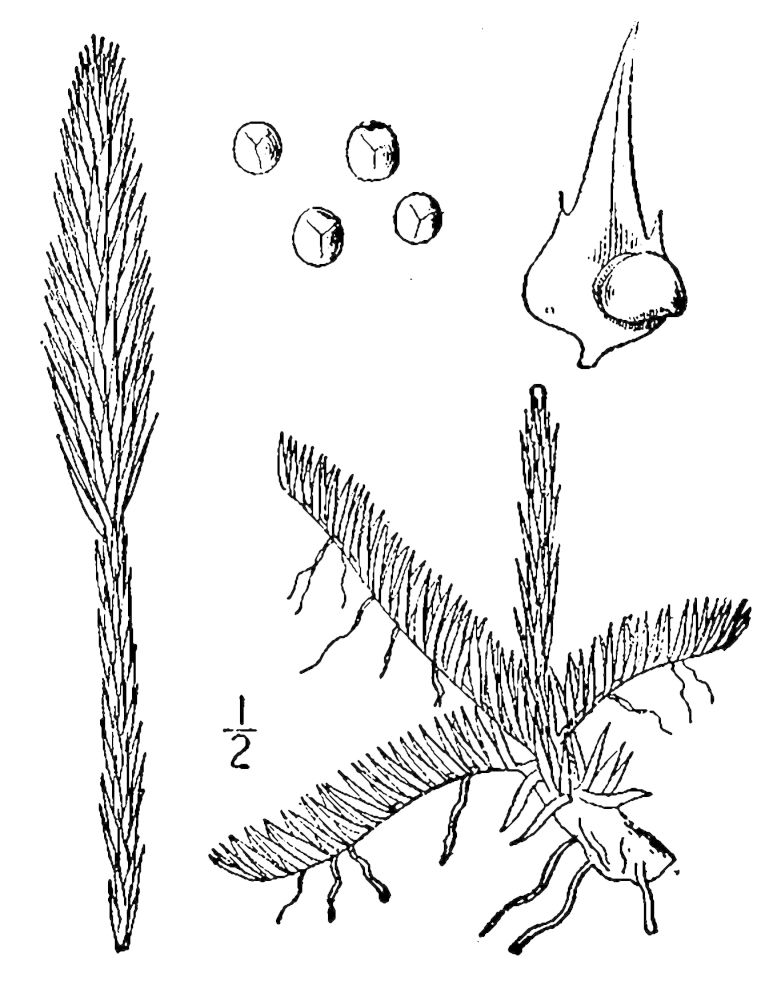 Figure 17a.