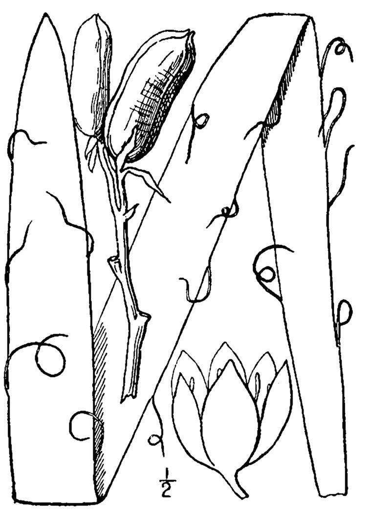 Figure 26a.