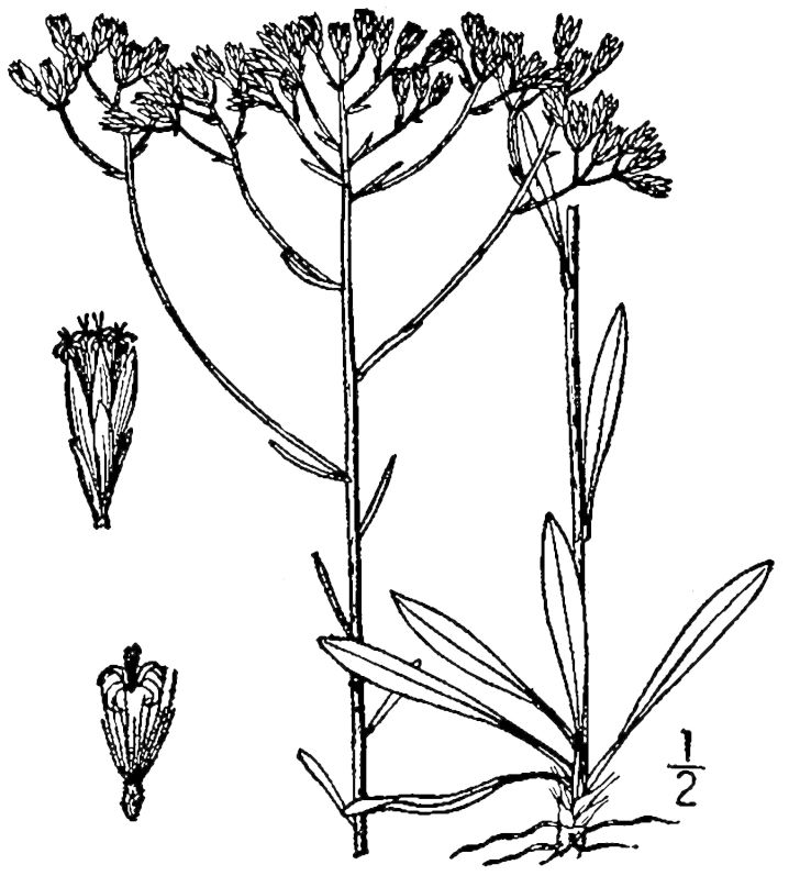 Figure 157.
