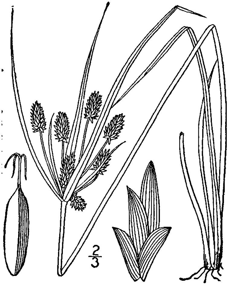 Figure 38d.