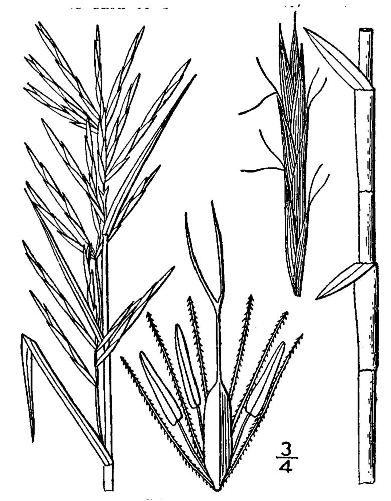 Figure 33.