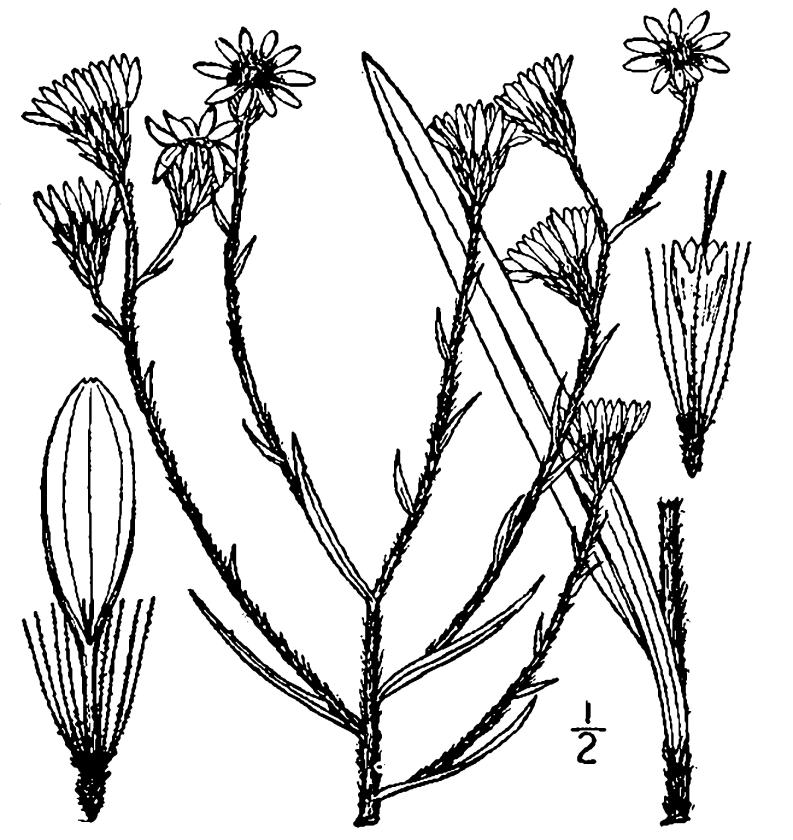 Figure 162a.