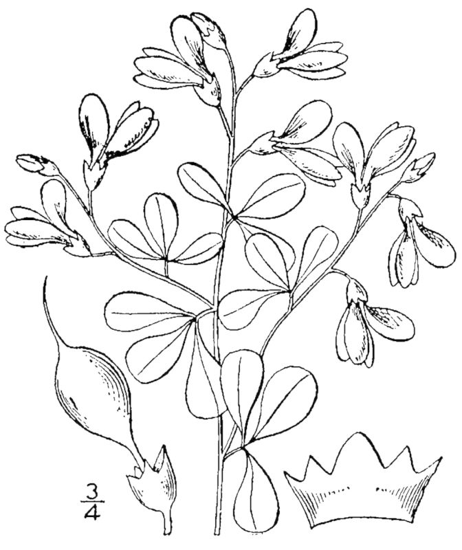 Figure 207b.