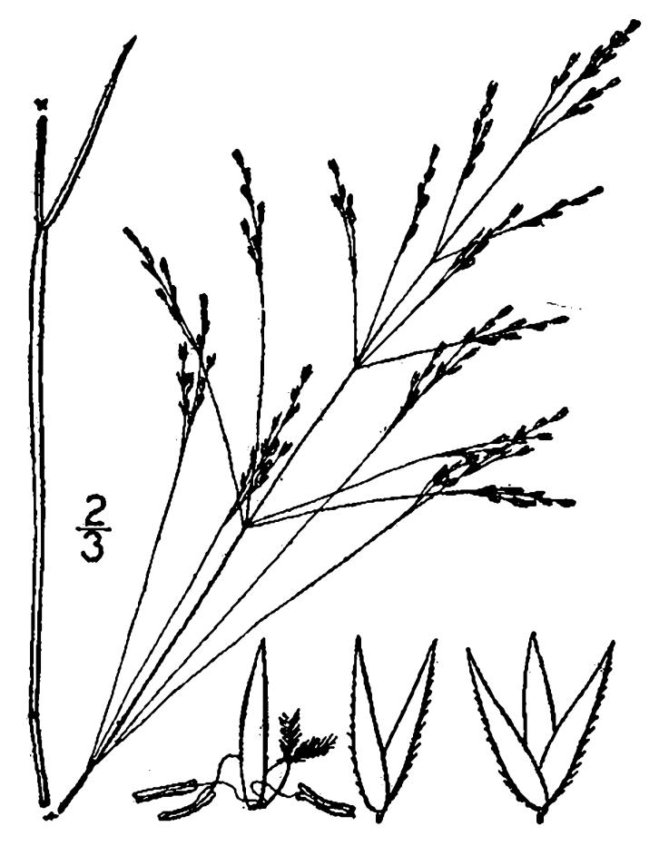 Figure 79a.