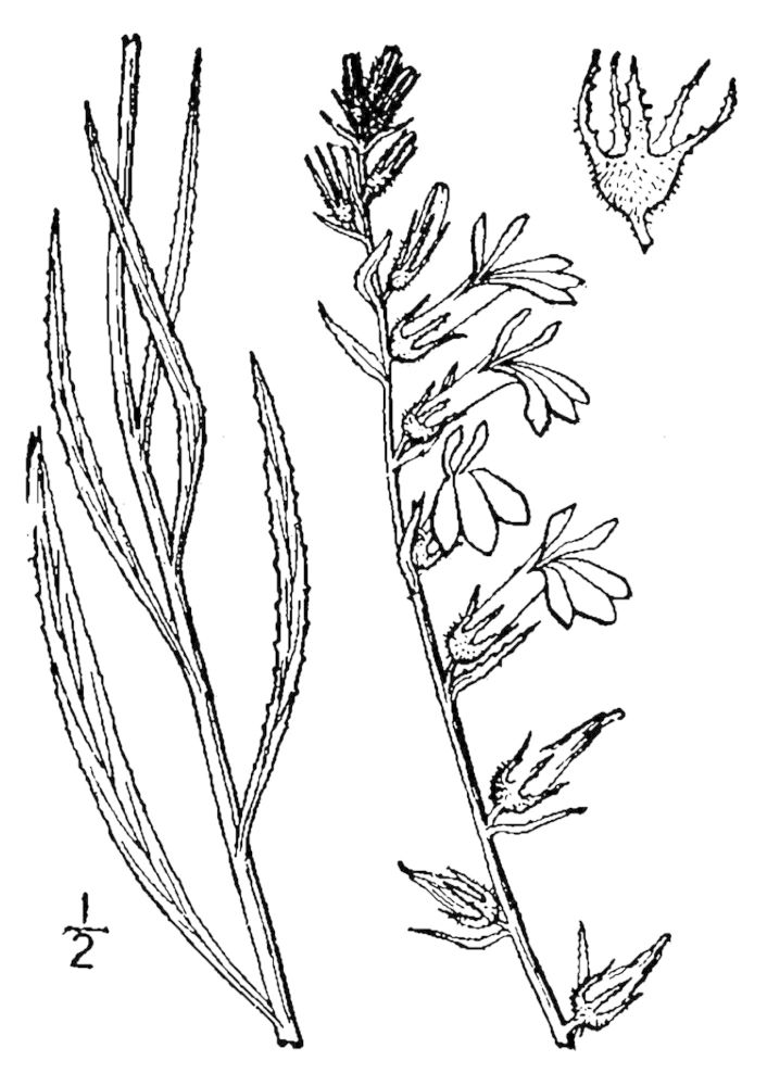 Figure 184b.
