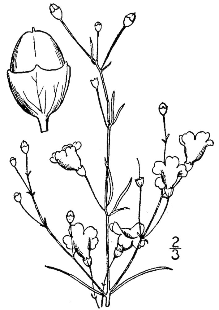 Figure 234c.
