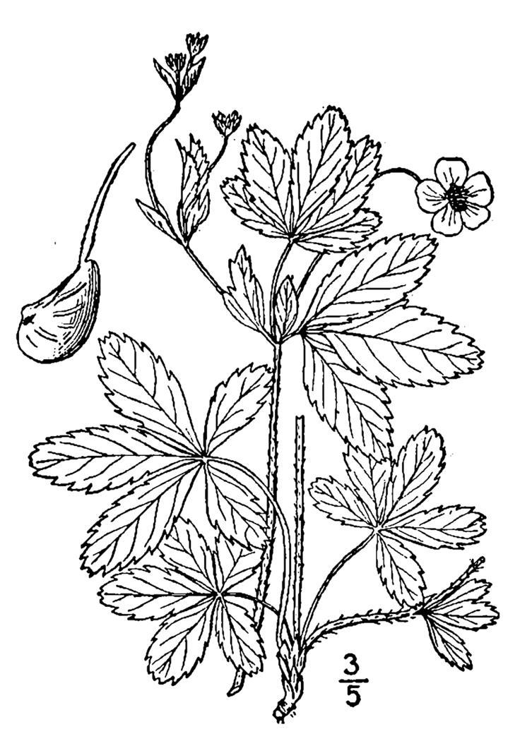 Figure 140.