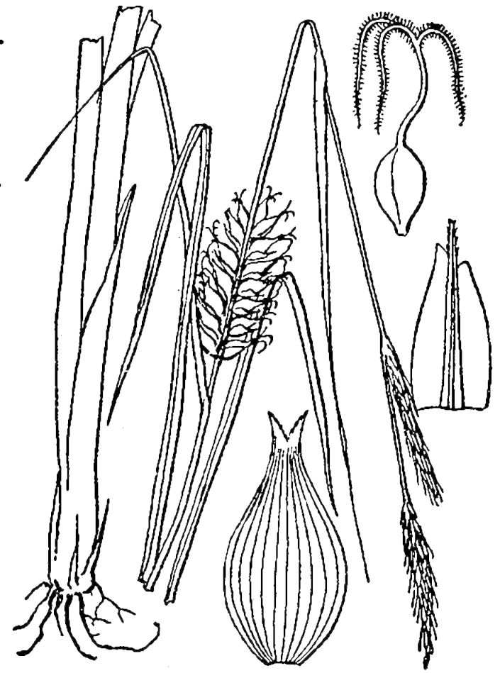 Figure 36e.