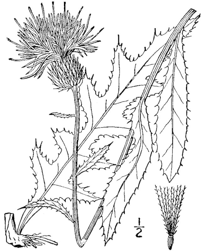 Figure 169d.