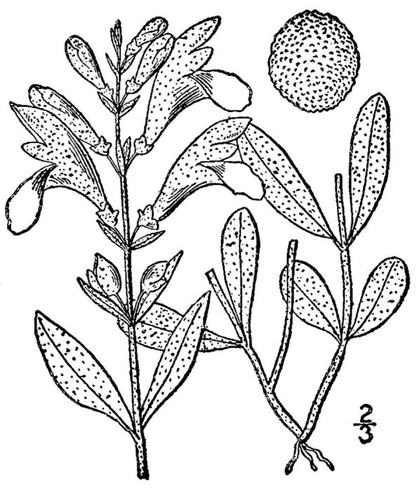 Figure 223a.