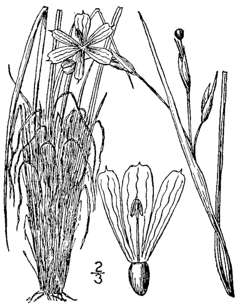 Figure 52c.