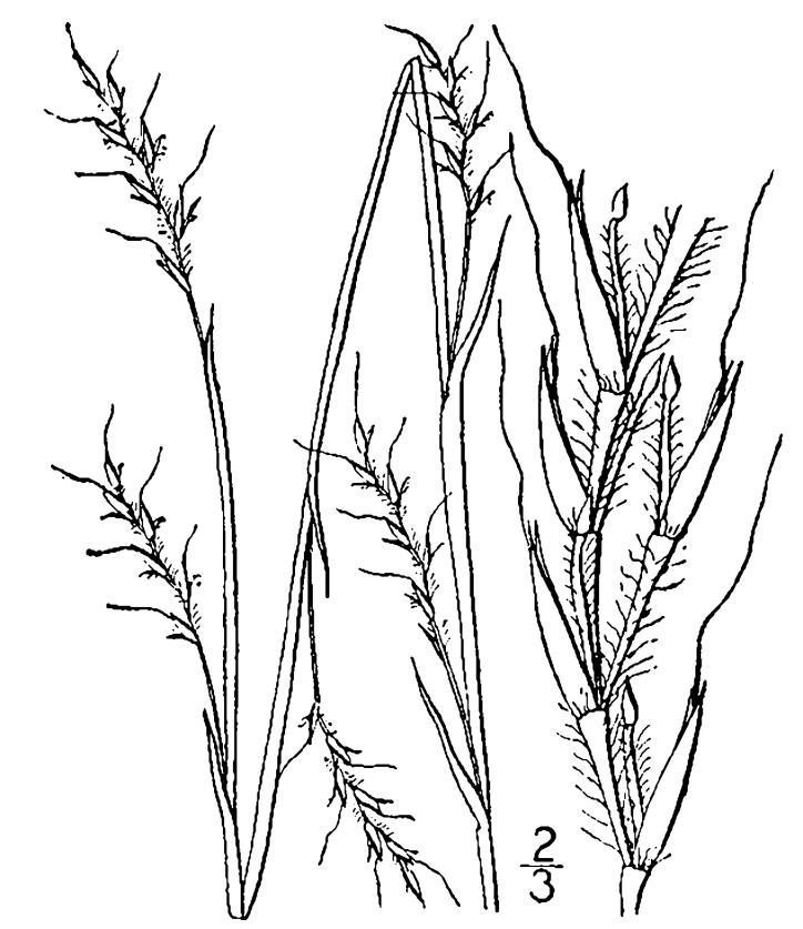 Figure 69.