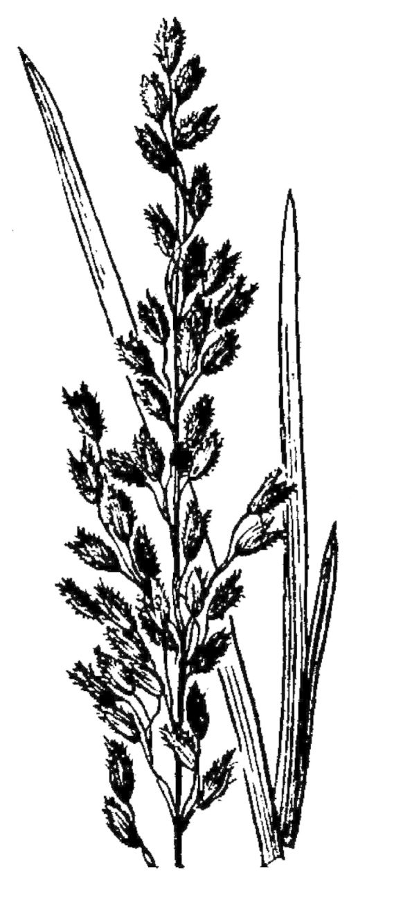 Figure 72.