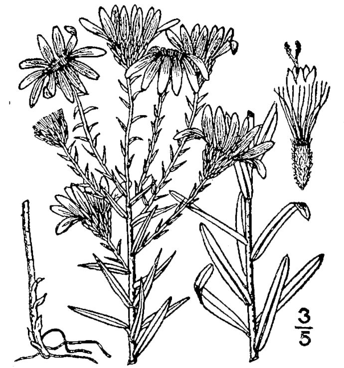 Figure 166.