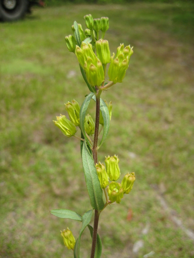 Figure 146e.