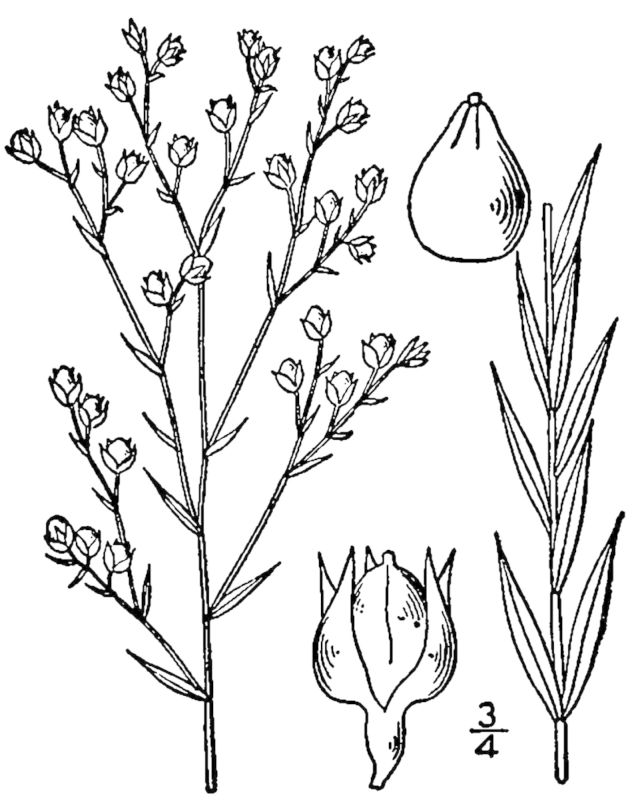 Figure 228a.