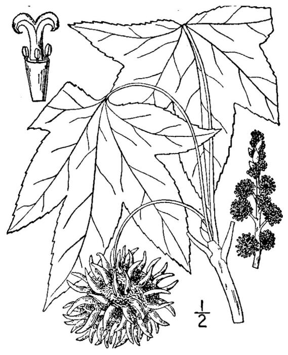 Figure 112.