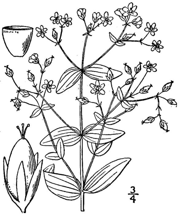 Figure 221a.