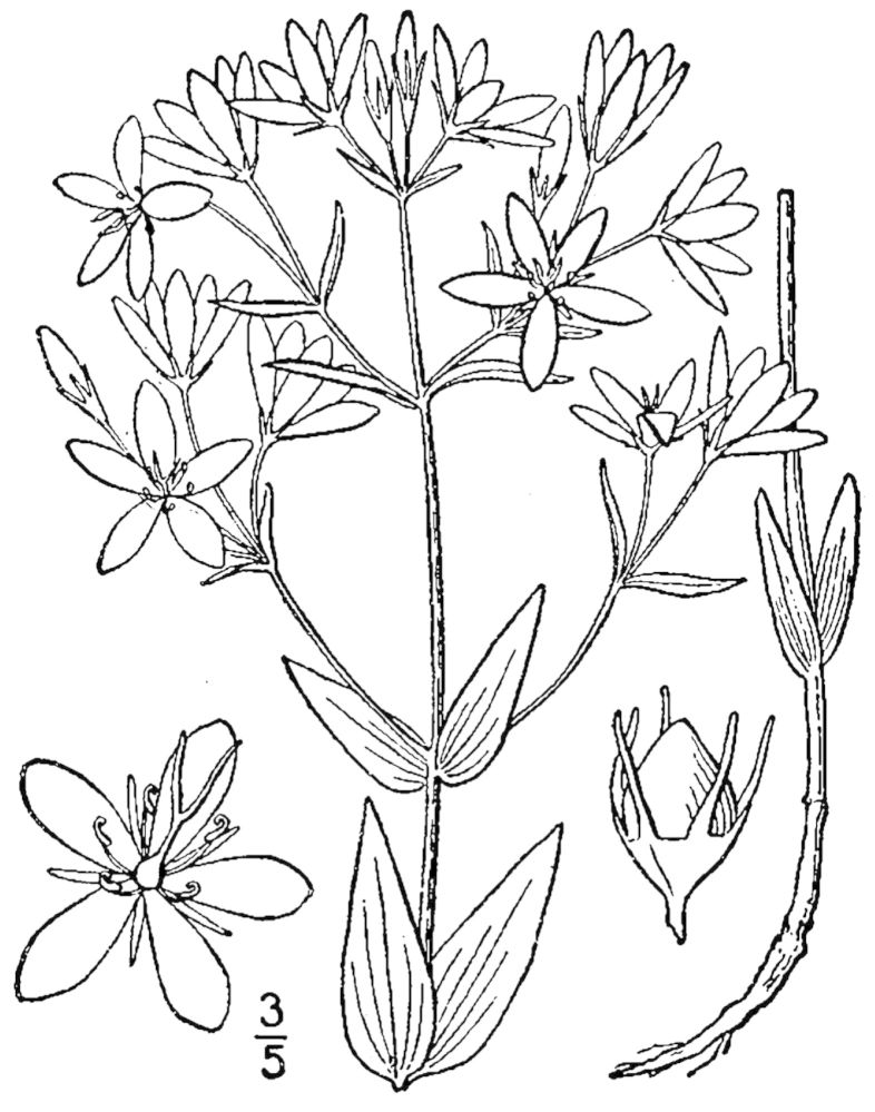 Figure 217a.