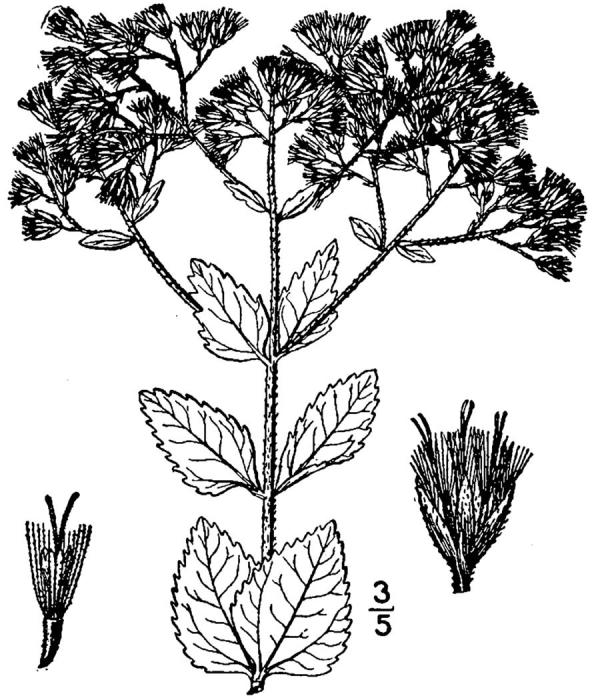 Figure 171e.