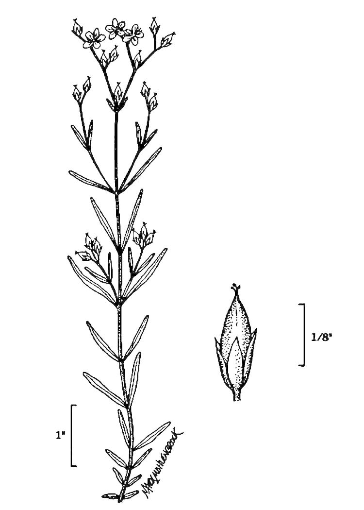 Figure 219a.
