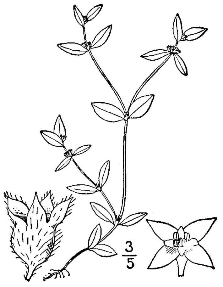 Figure 244.