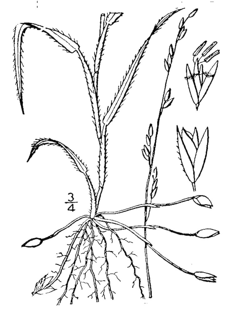 Figure 70.