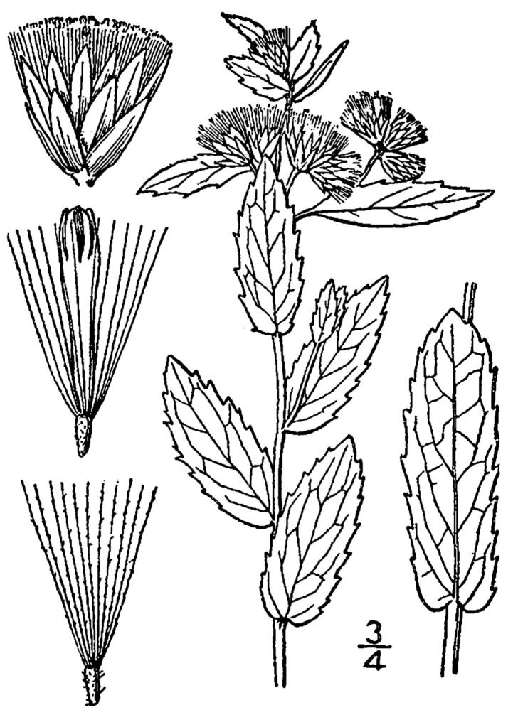 Figure 177a.