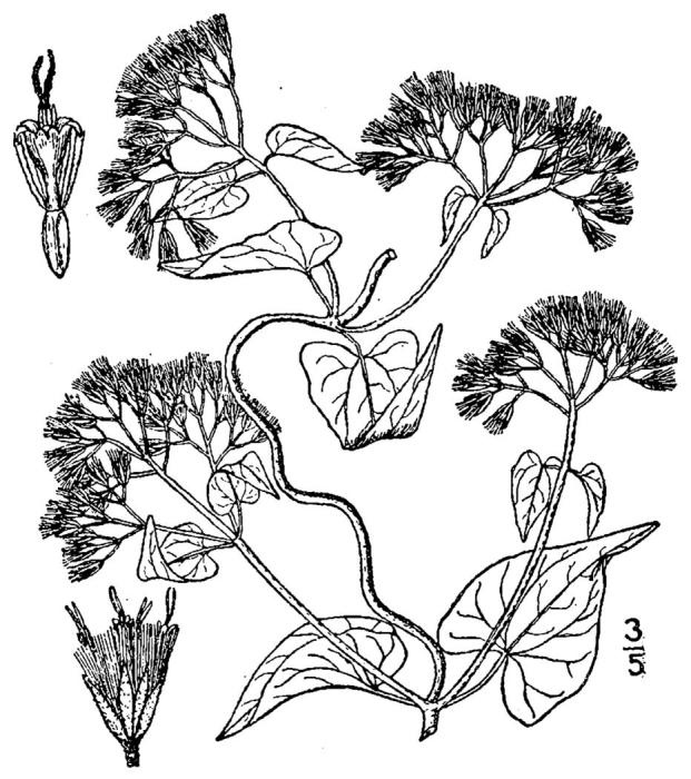 Figure 148.