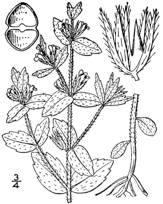 Figure 136.