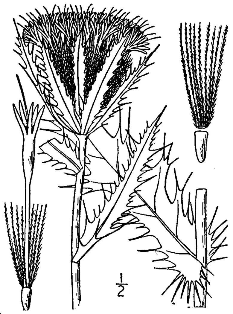 Figure 169a.